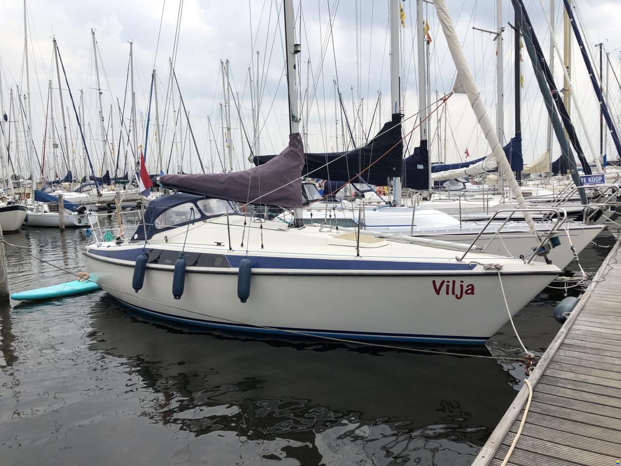 Maxi 84