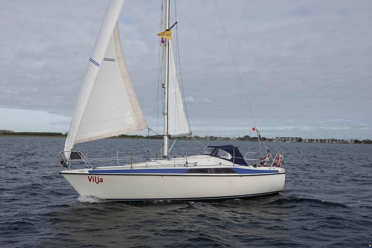 Maxi 84