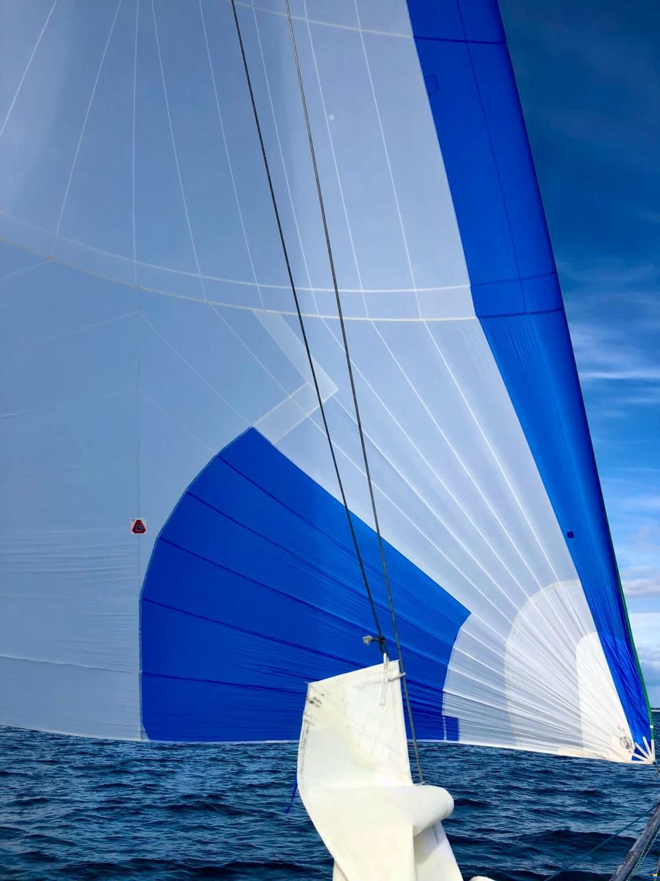 Mini 6.50 Proto