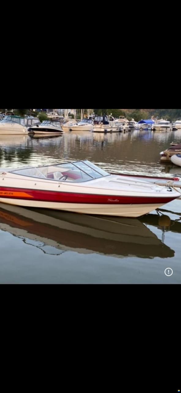 Bayliner Sportboot