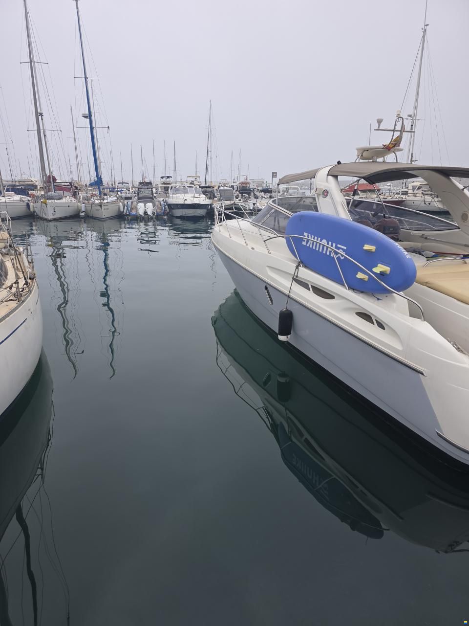 Cranchi Endurance 41