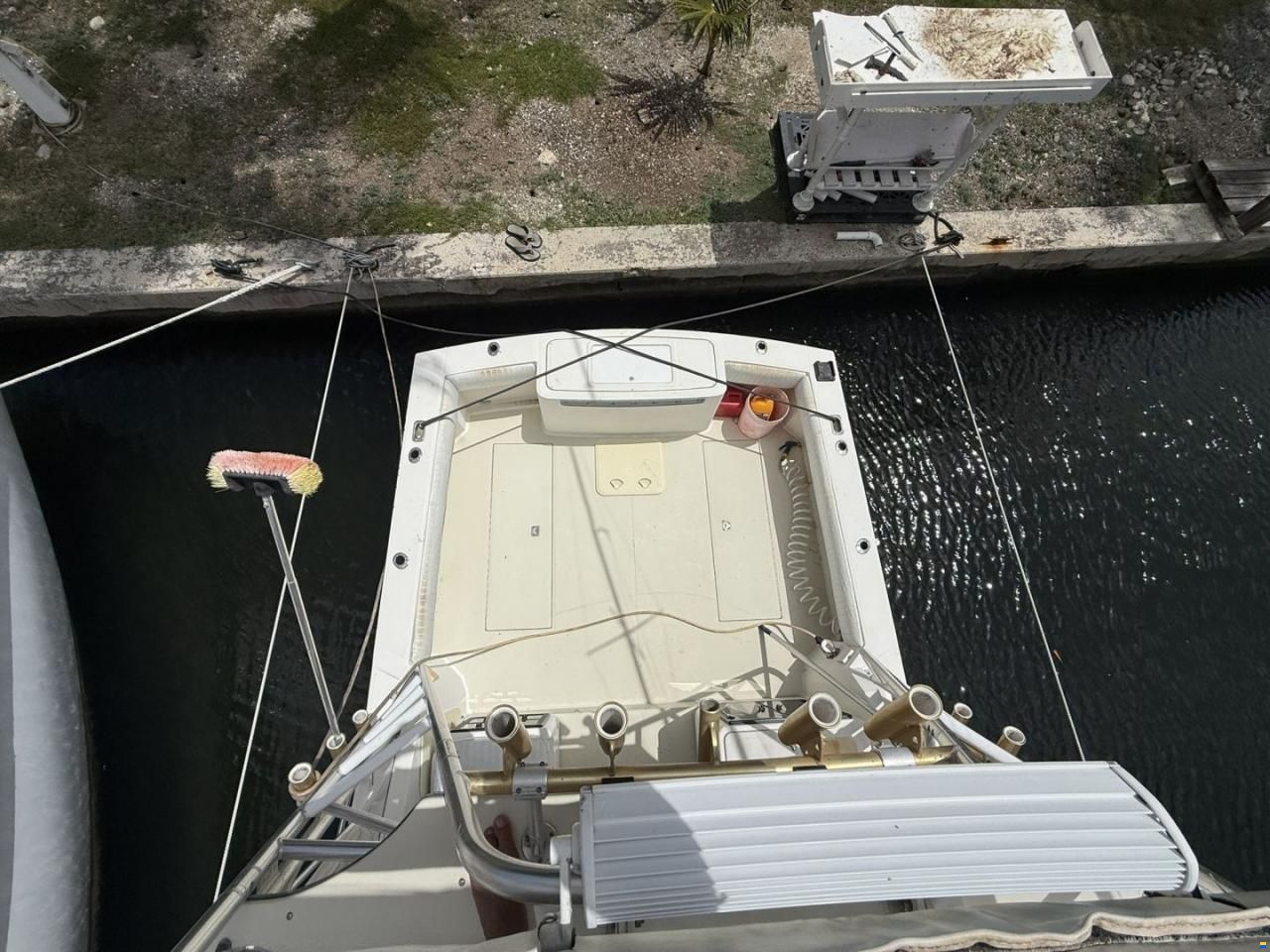 Carolina Classic 28