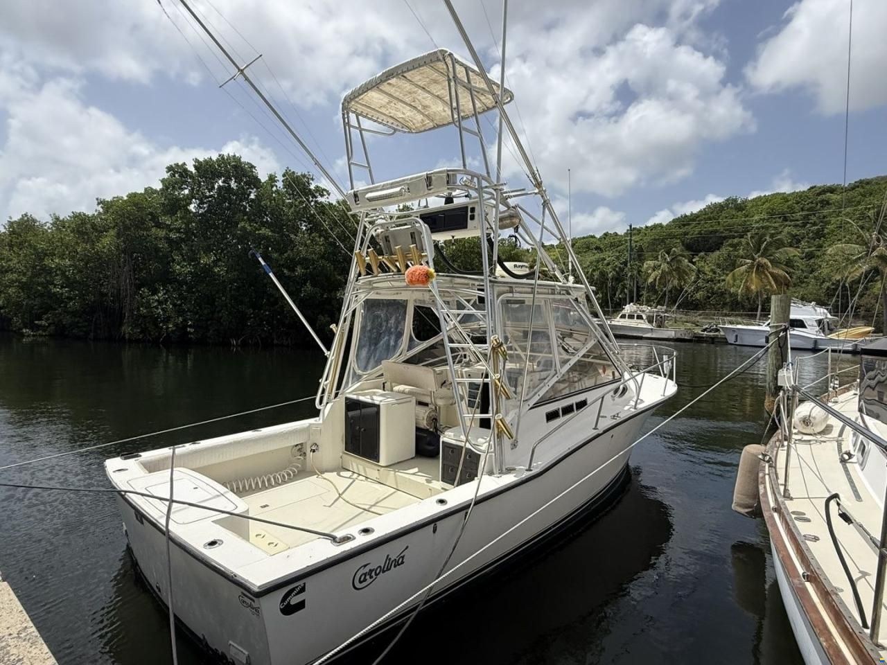 Carolina Classic 28