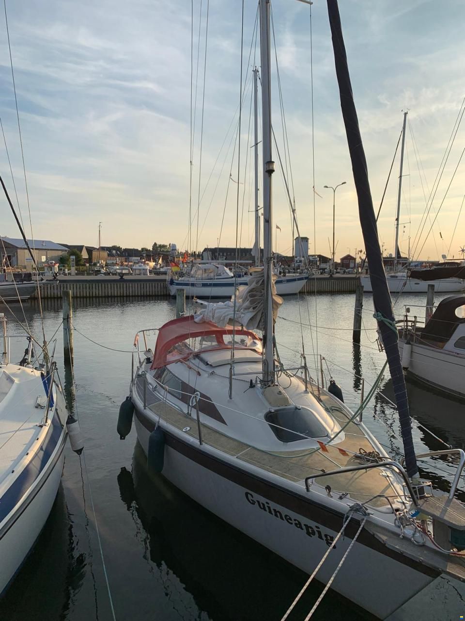 Dehlya 25