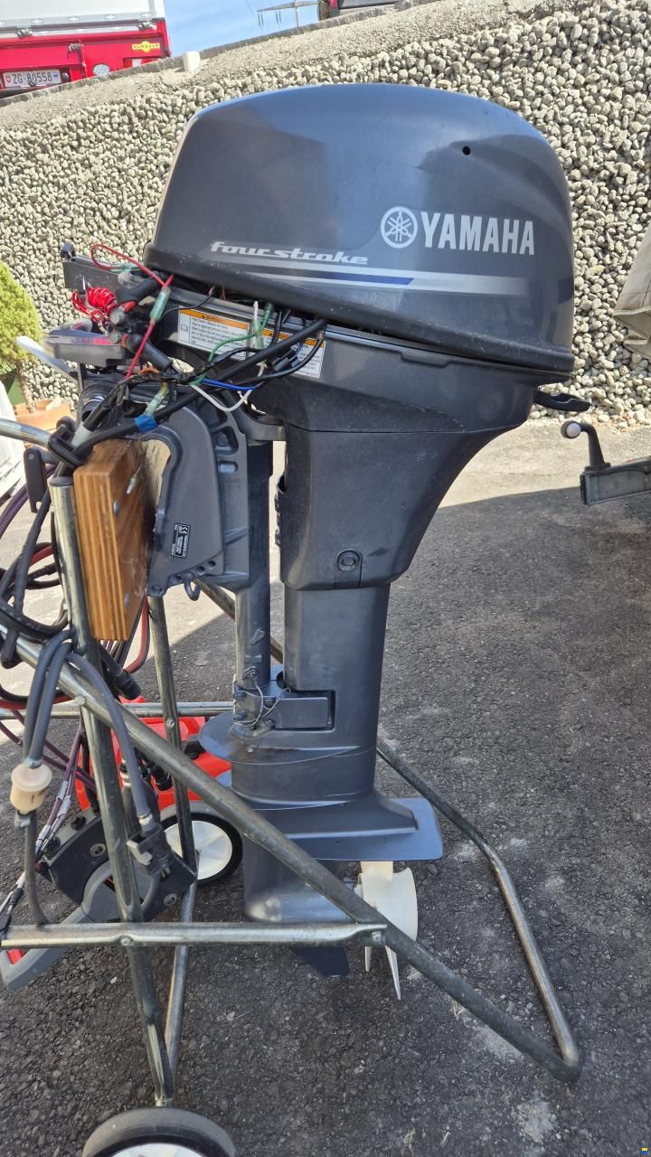 Yamaha FT9.9LEX