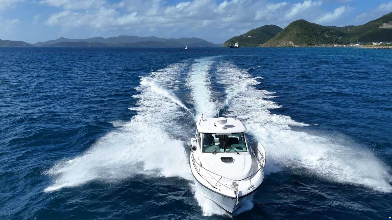 Boston Whaler Conquest 315