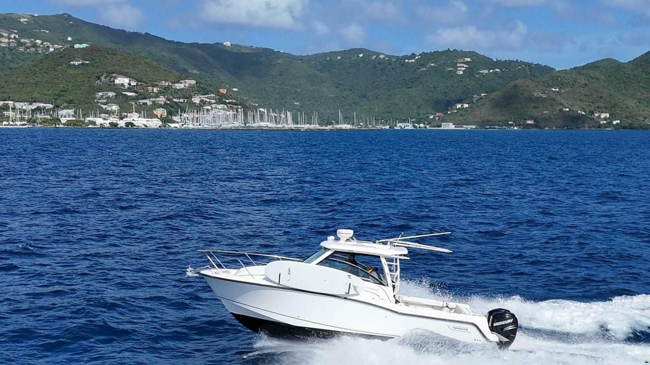 Boston Whaler Conquest 315