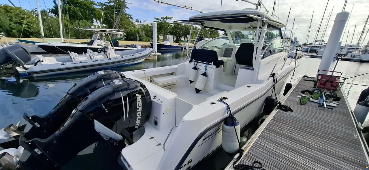 Boston Whaler Conquest 315