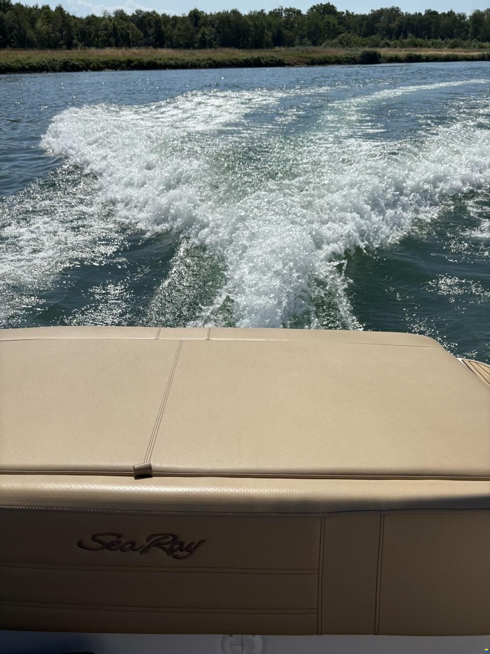 Sea Ray SPXE 190