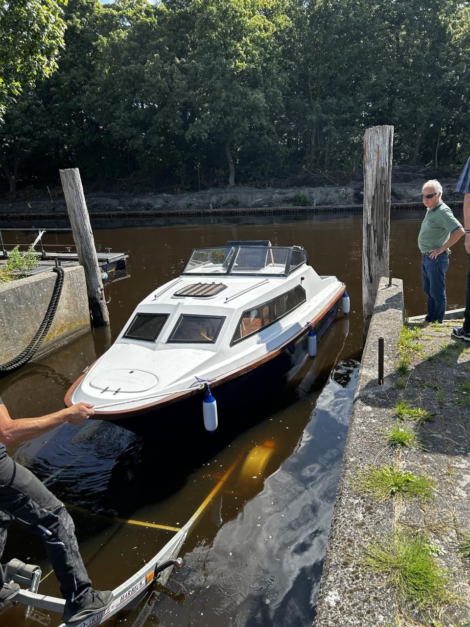 Shetland Black Hawk