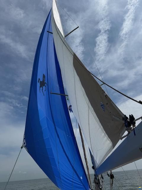 Elan 444