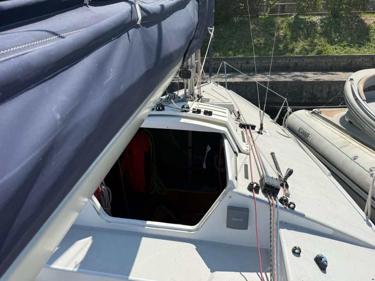 Dolphin 81 Jollenkreuzer