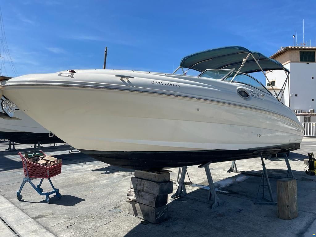 Sea Ray Sundeck 240