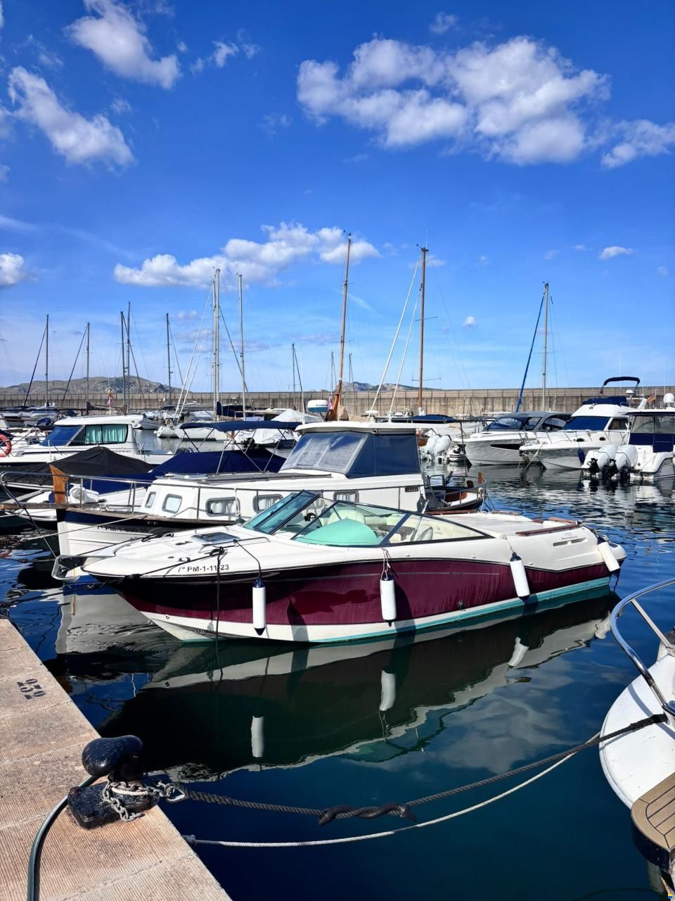 Jeanneau Runabout 755