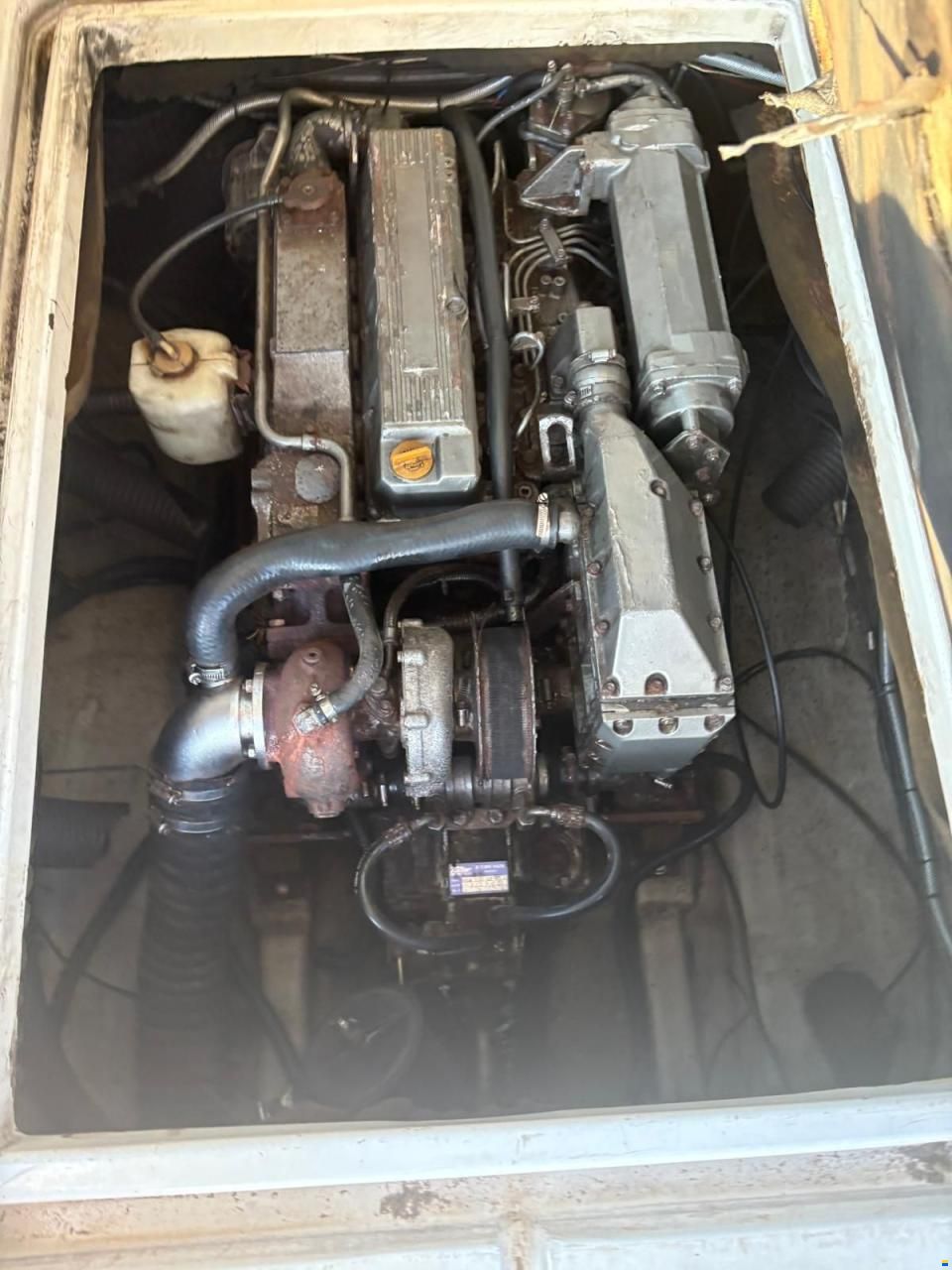 Astinor 700