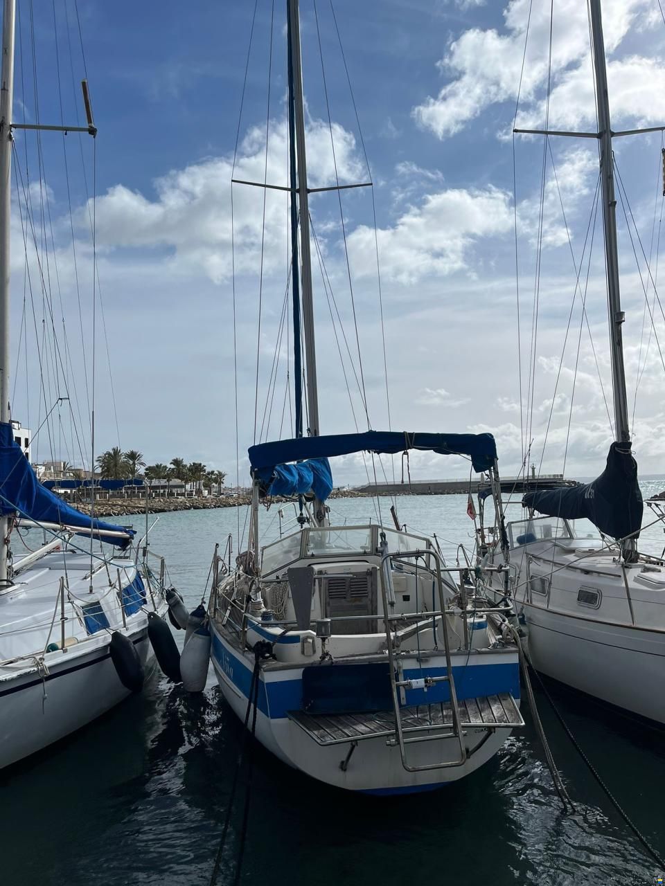 Hallberg-Rassy 31