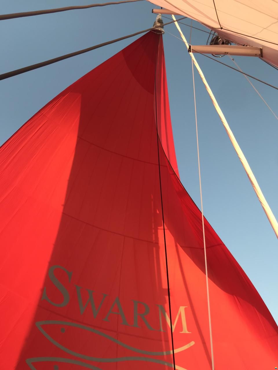 asymmetrischer Spinnaker