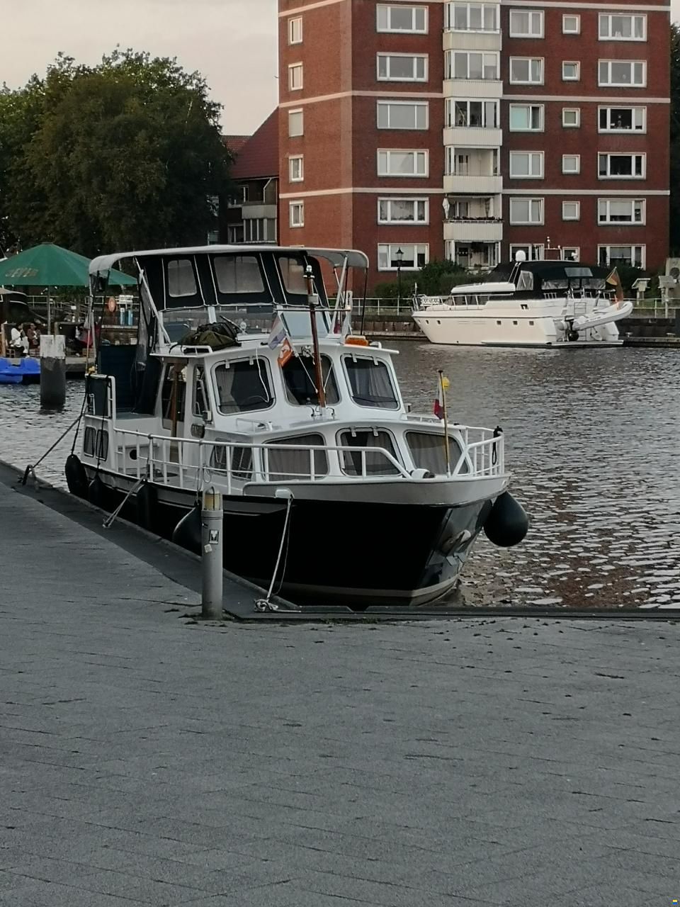 De Groot Palma de Groot