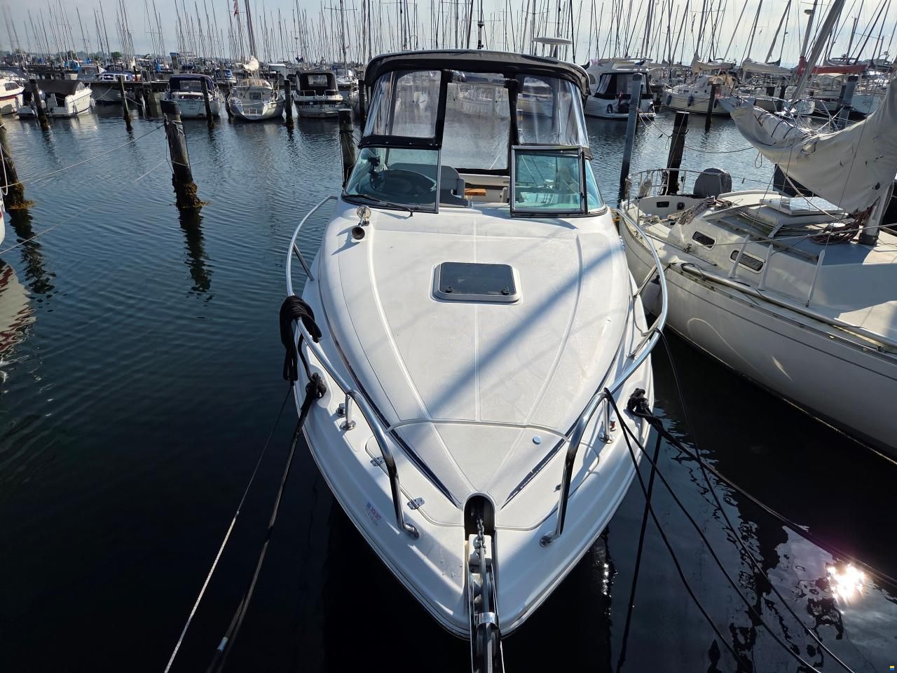 Rinker 260 Express Cruiser