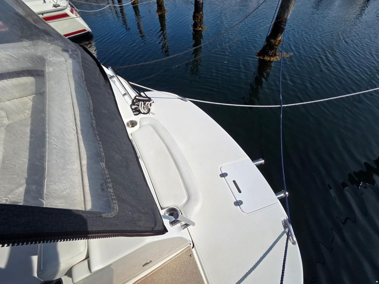 Rinker 260 Express Cruiser