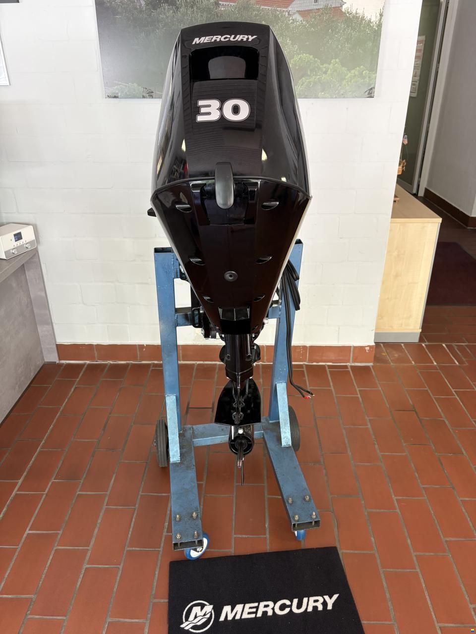 Mercury F30 EPT EFI