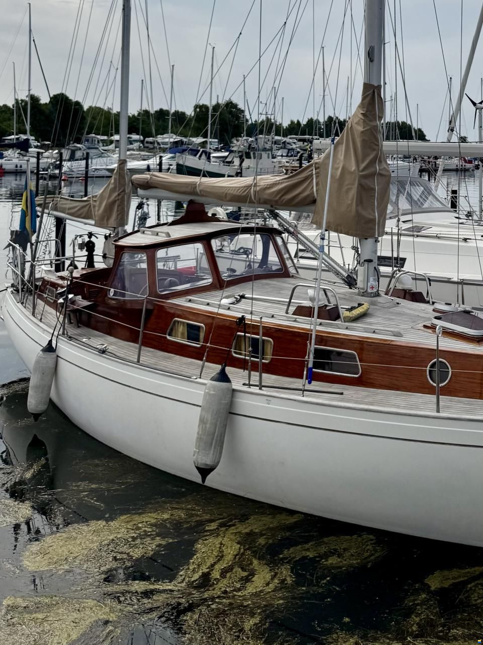 Vindö 50 MS