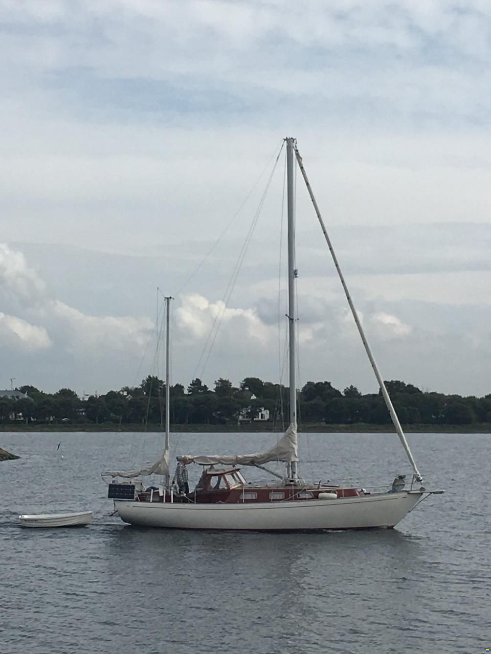 Vindö 50 MS