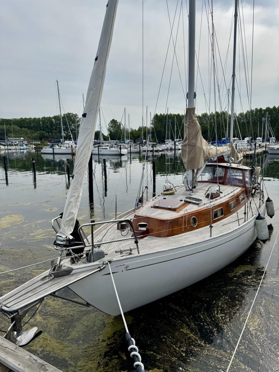 Vindö 50 MS