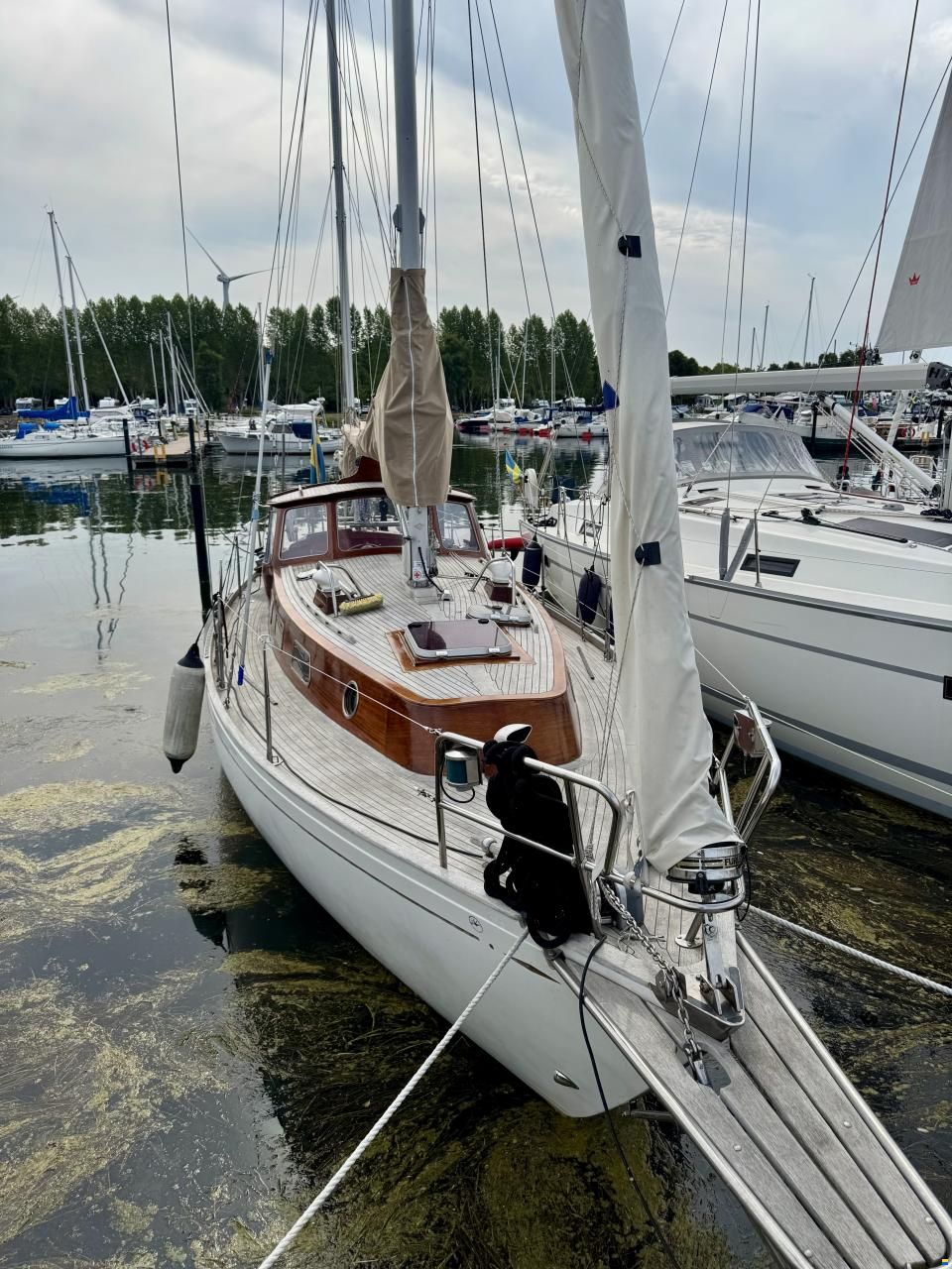 Vindö 50 MS