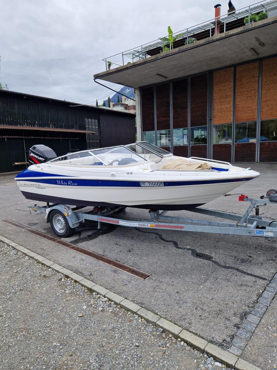 Campion Allante