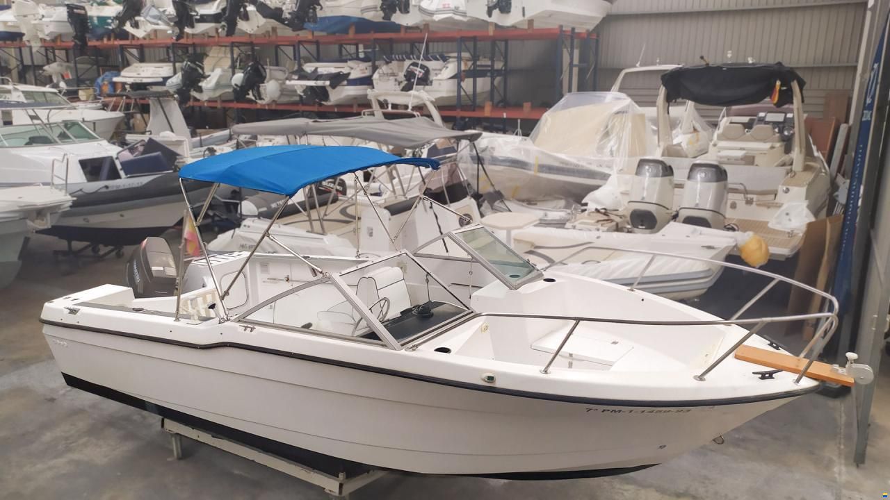 Bayliner Solo casco