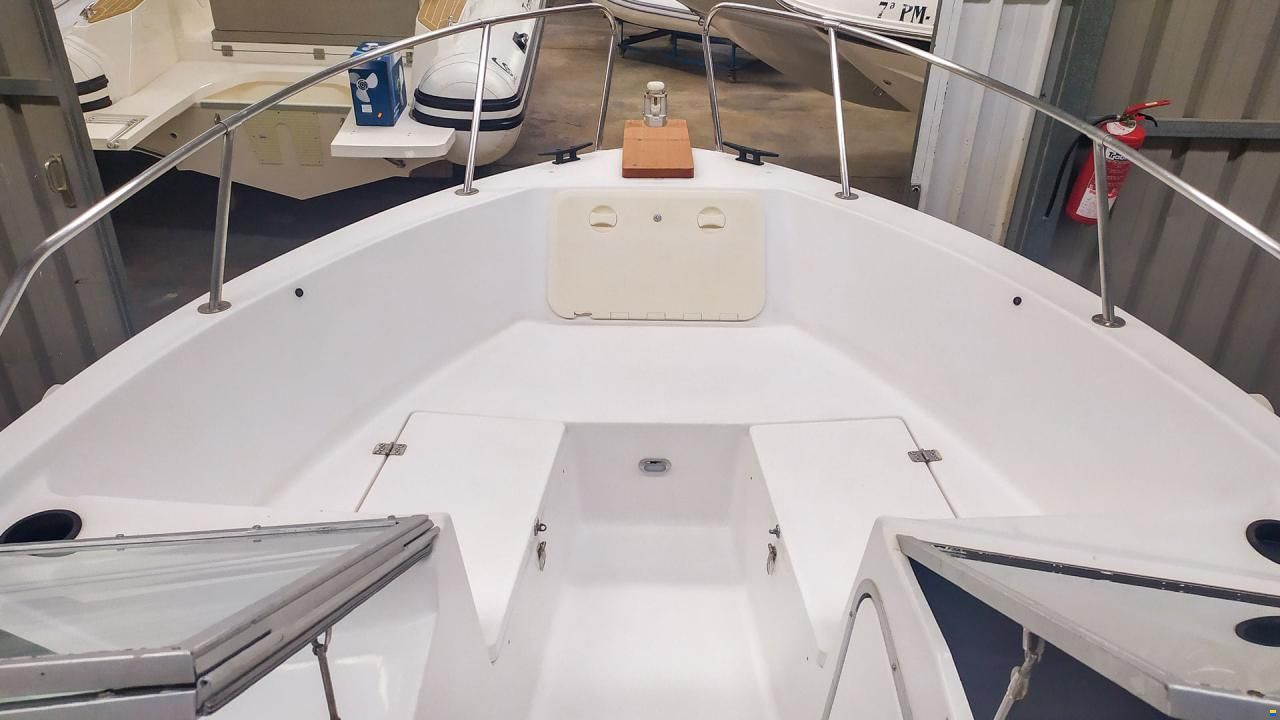 Bayliner Solo casco