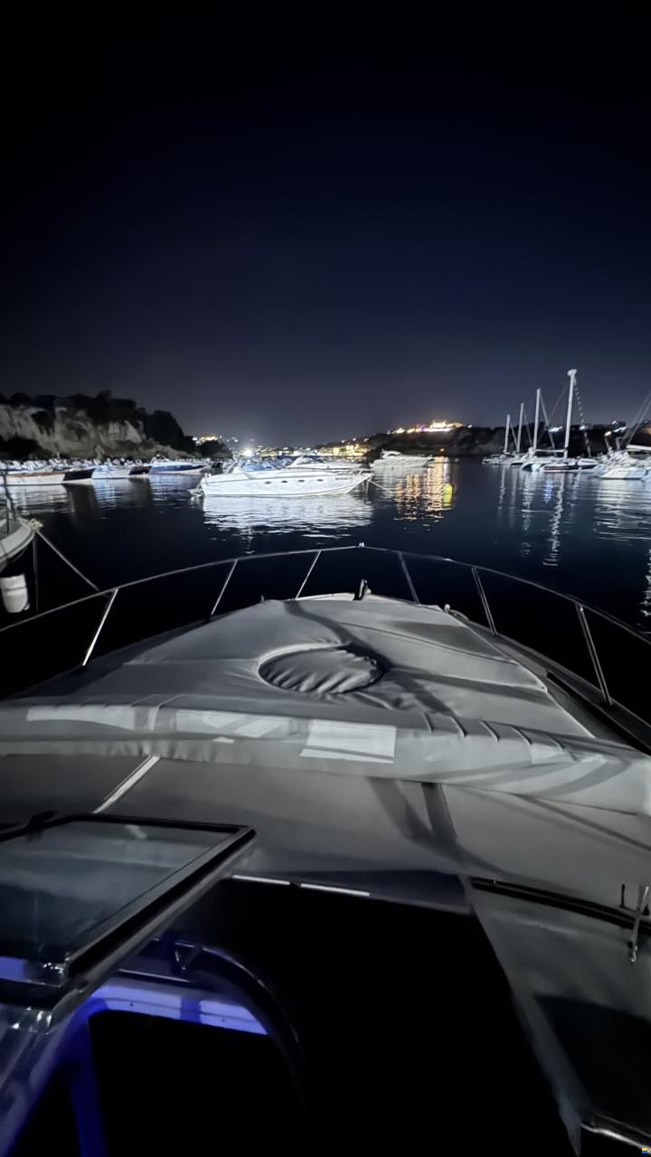 Regal 3350