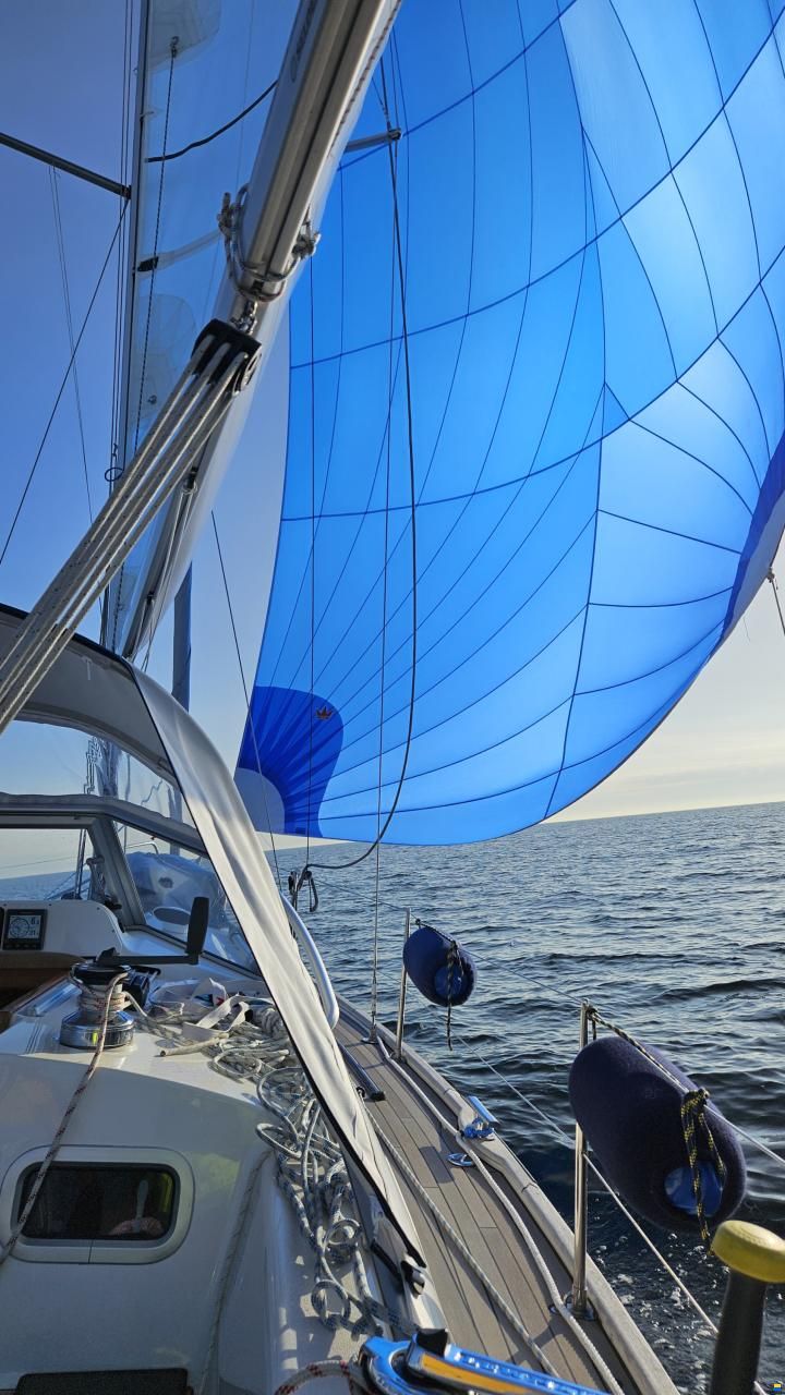 Hallberg-Rassy 310
