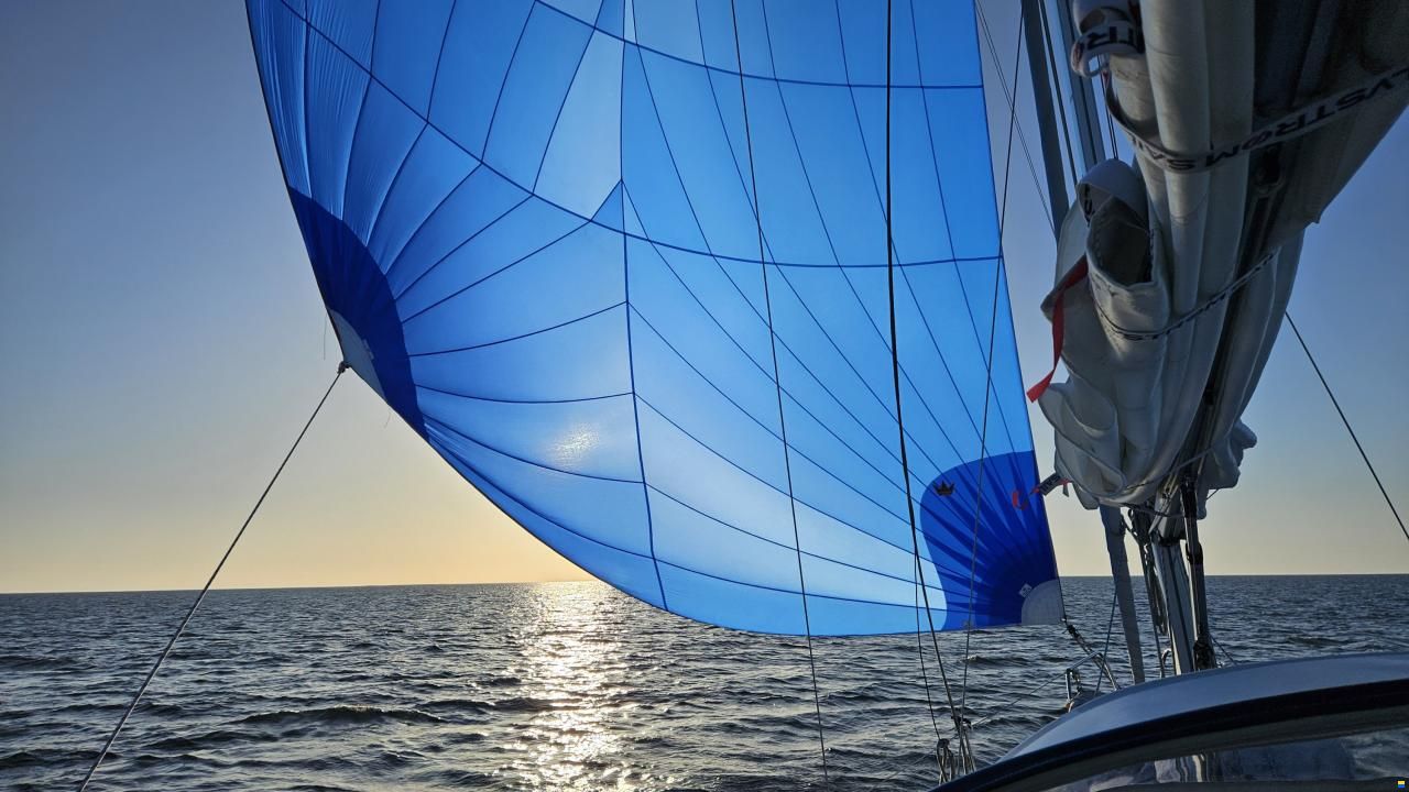 Hallberg-Rassy 310
