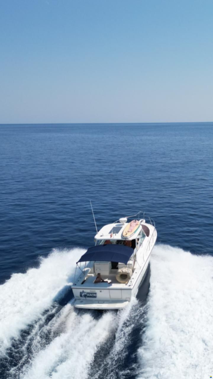 Pursuit 3400 express