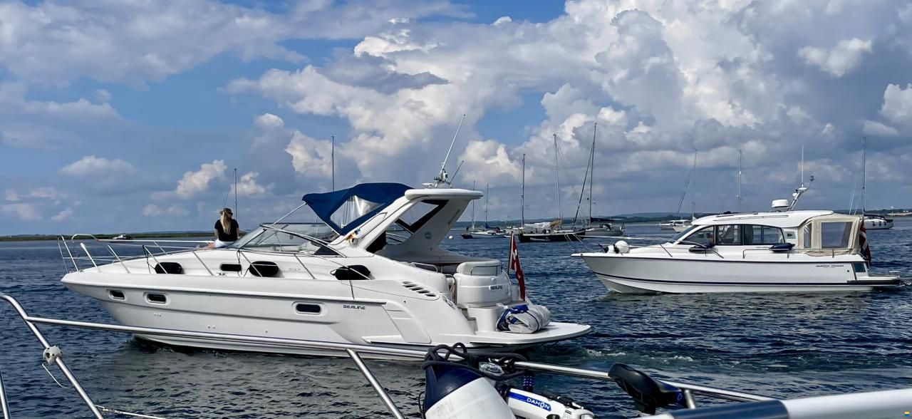 Sealine S37