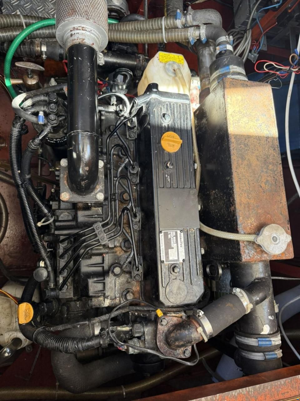 Pedro 950