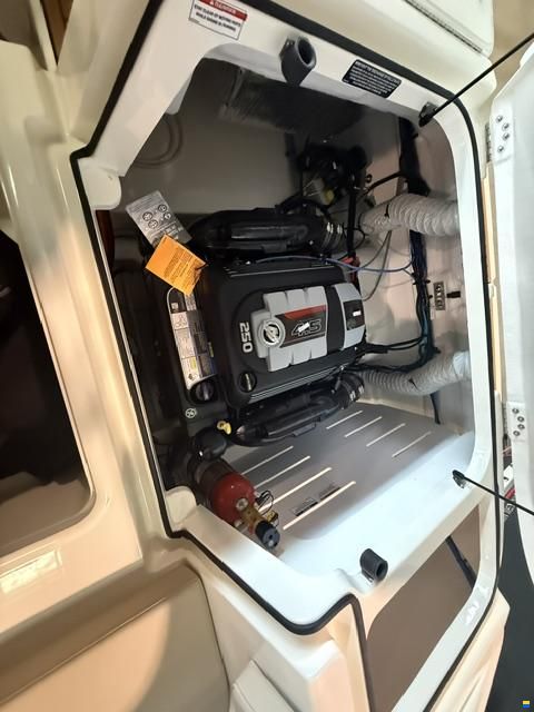 Bayliner VR5 Cuddy IB