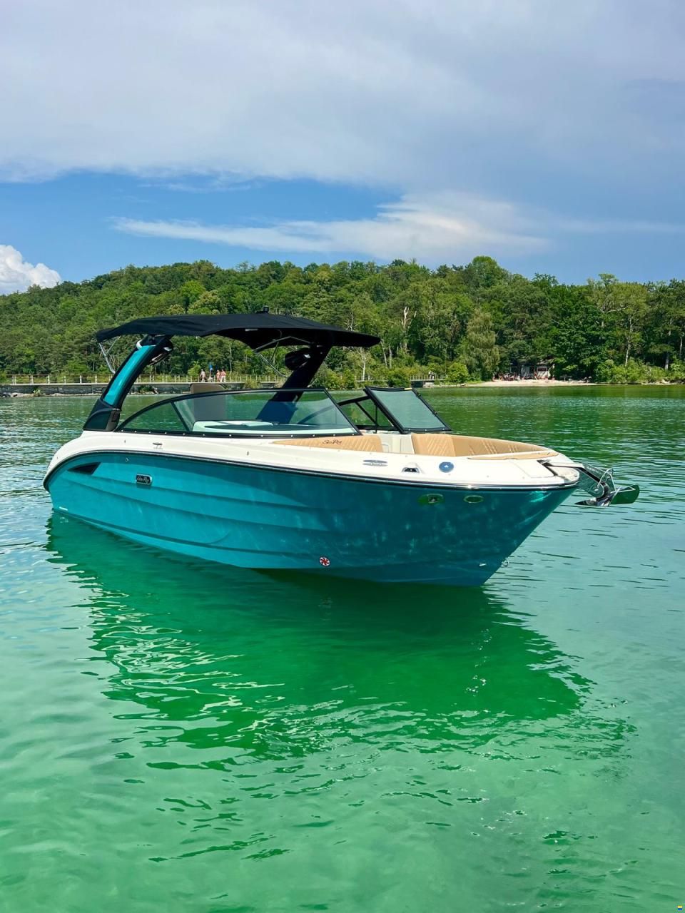 Sea Ray SDX 250 Surf
