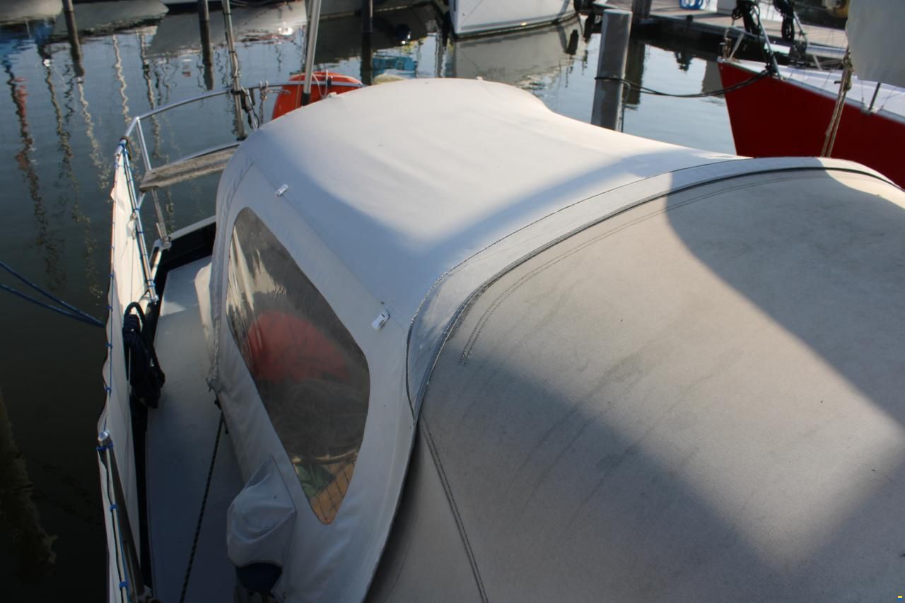 Carena 35