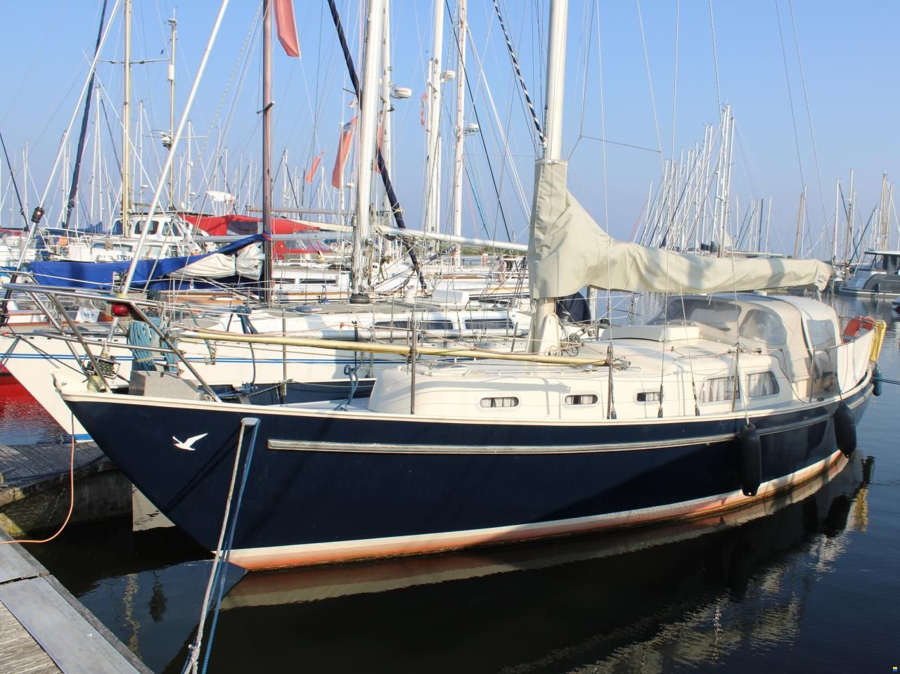 Carena 35