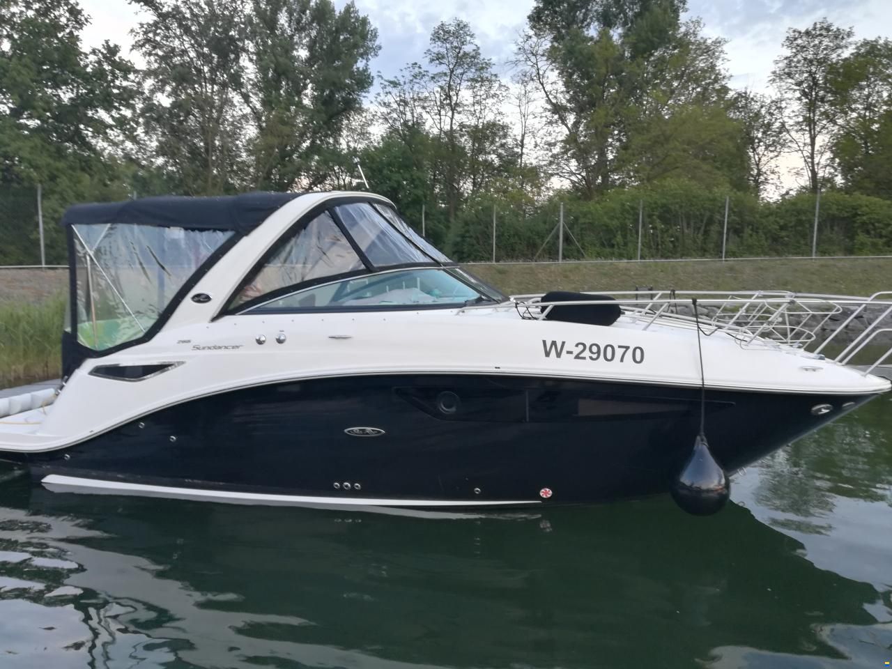 Sea Ray 265