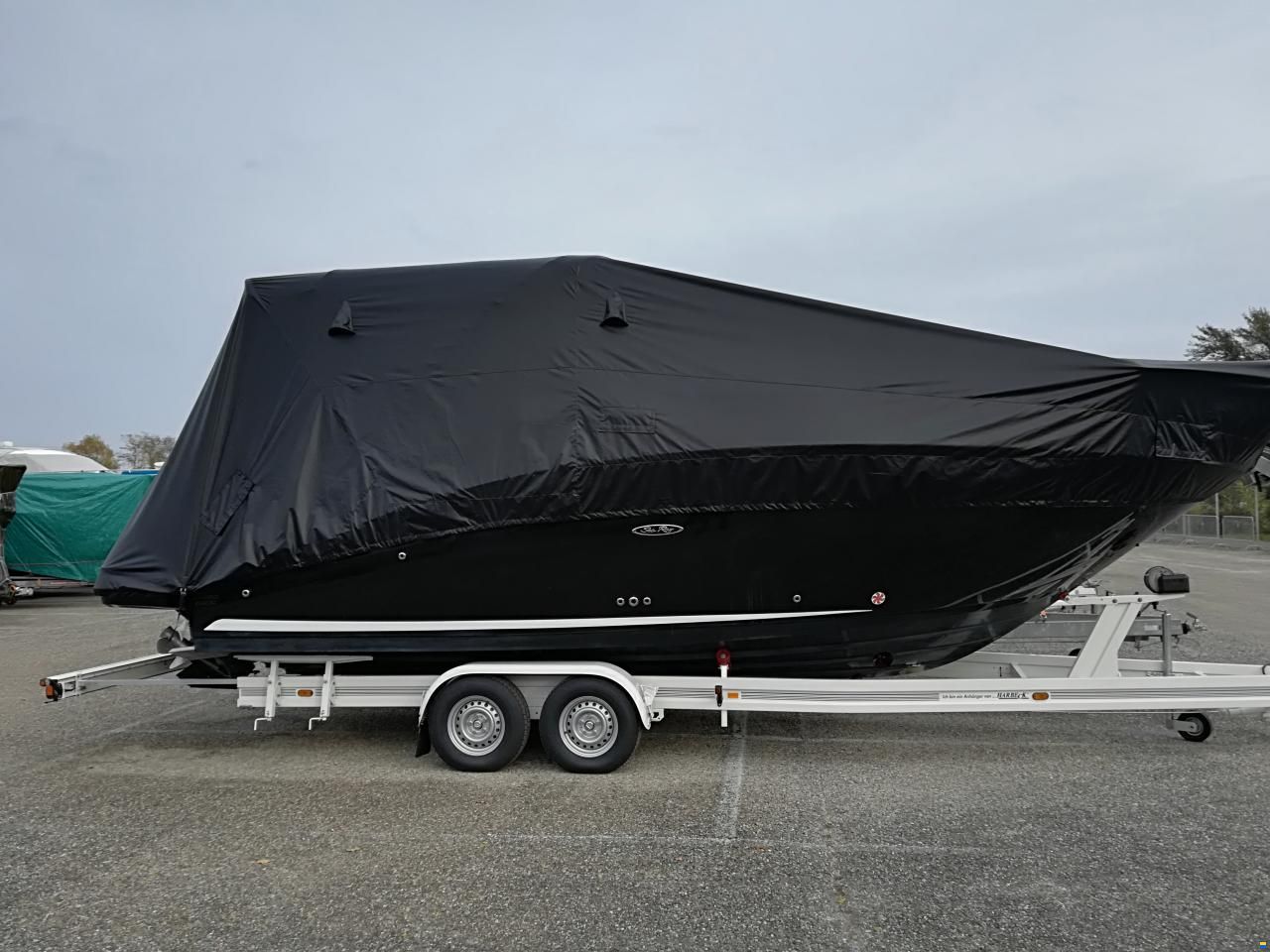 Sea Ray 265