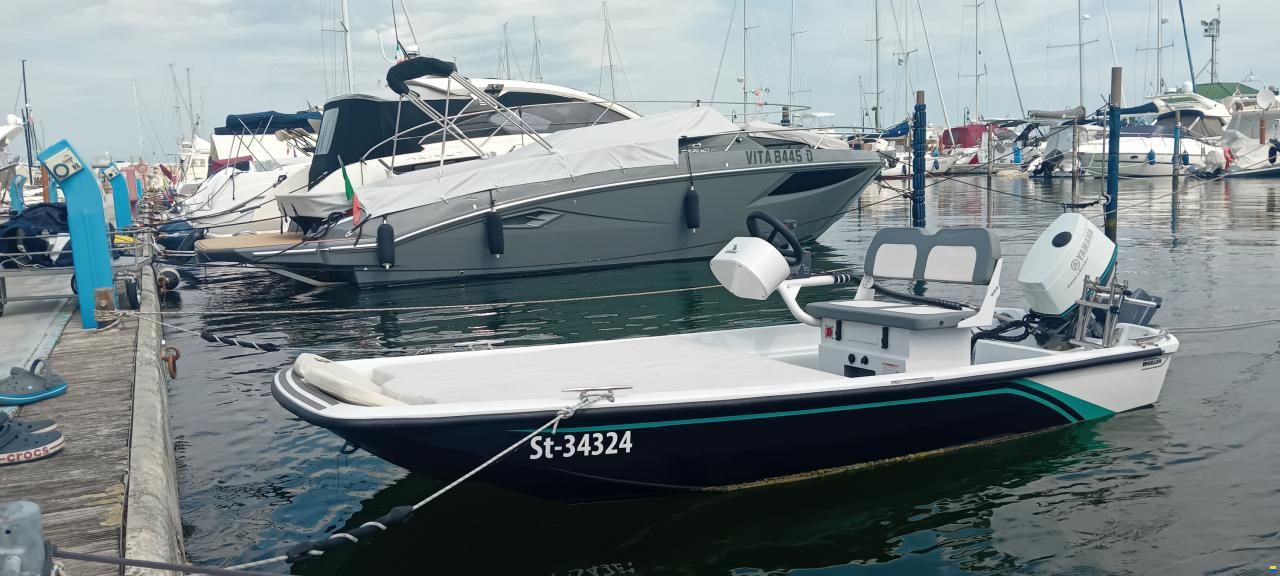 Boston Whaler 15