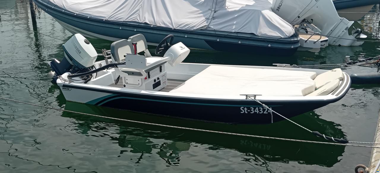Boston Whaler 15