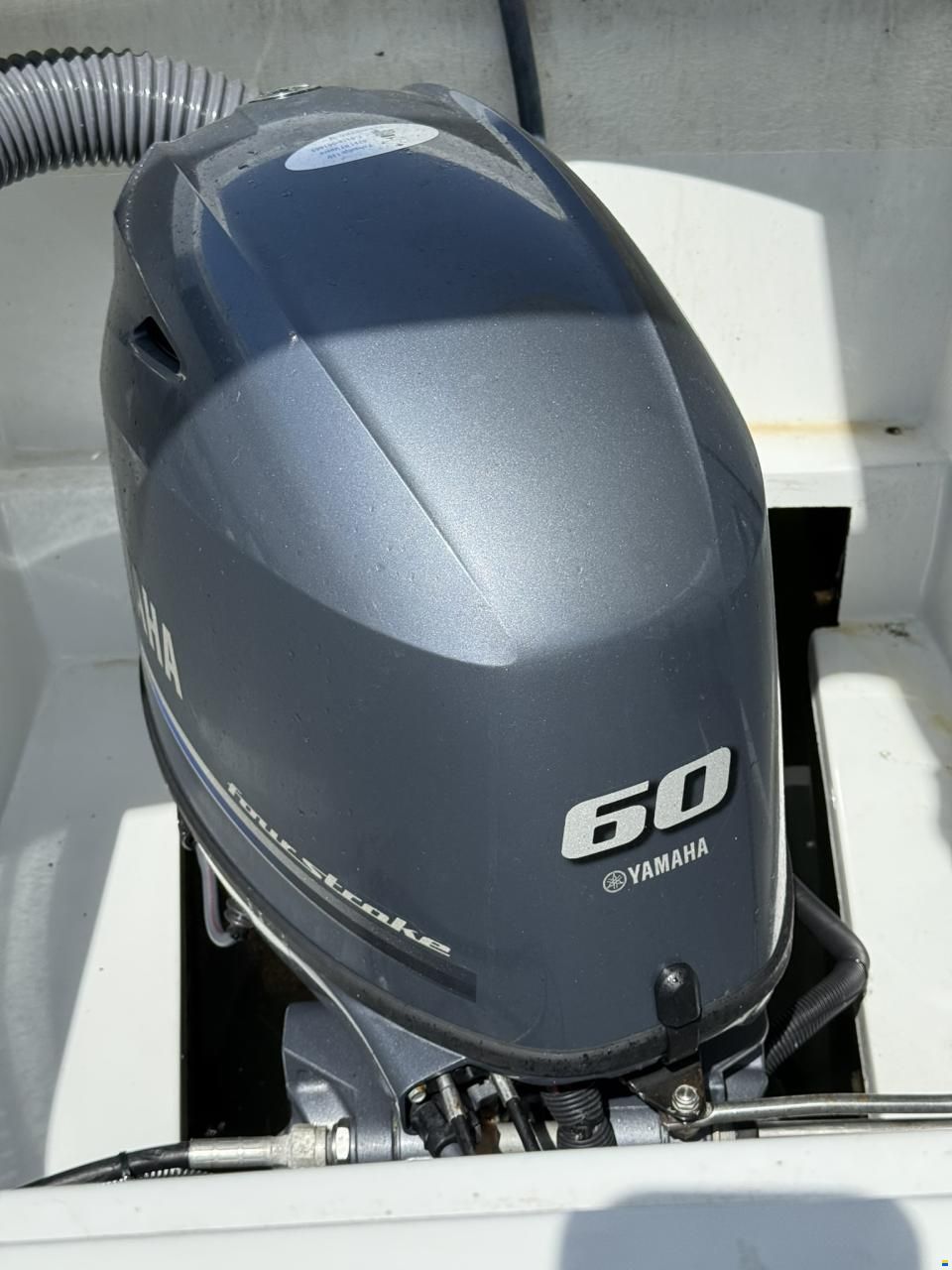 Corsiva Tender 690