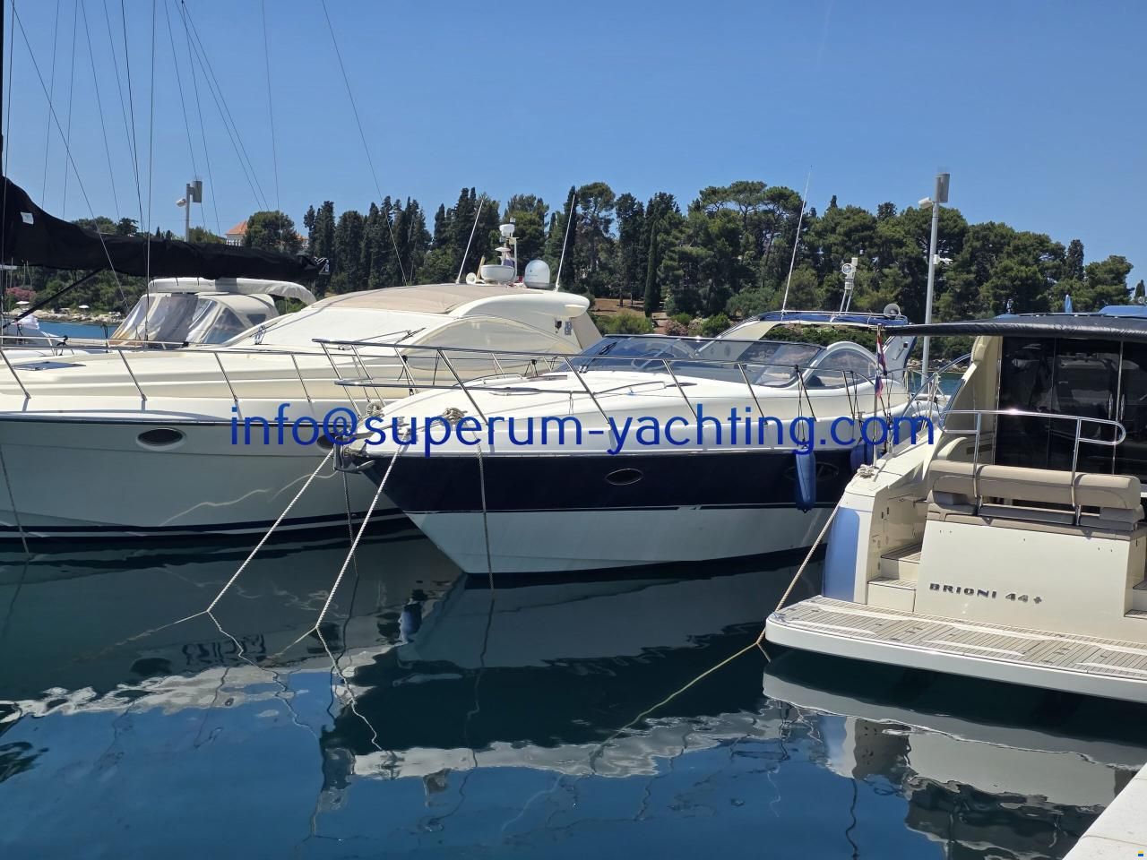 Gobbi Atlantis 47