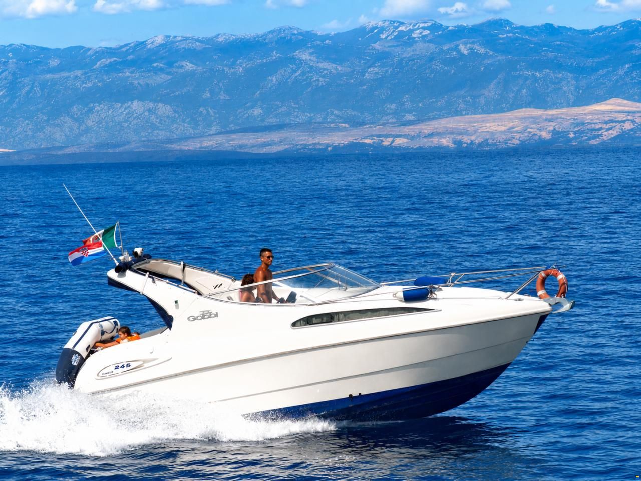 Gobbi 245 Cabin