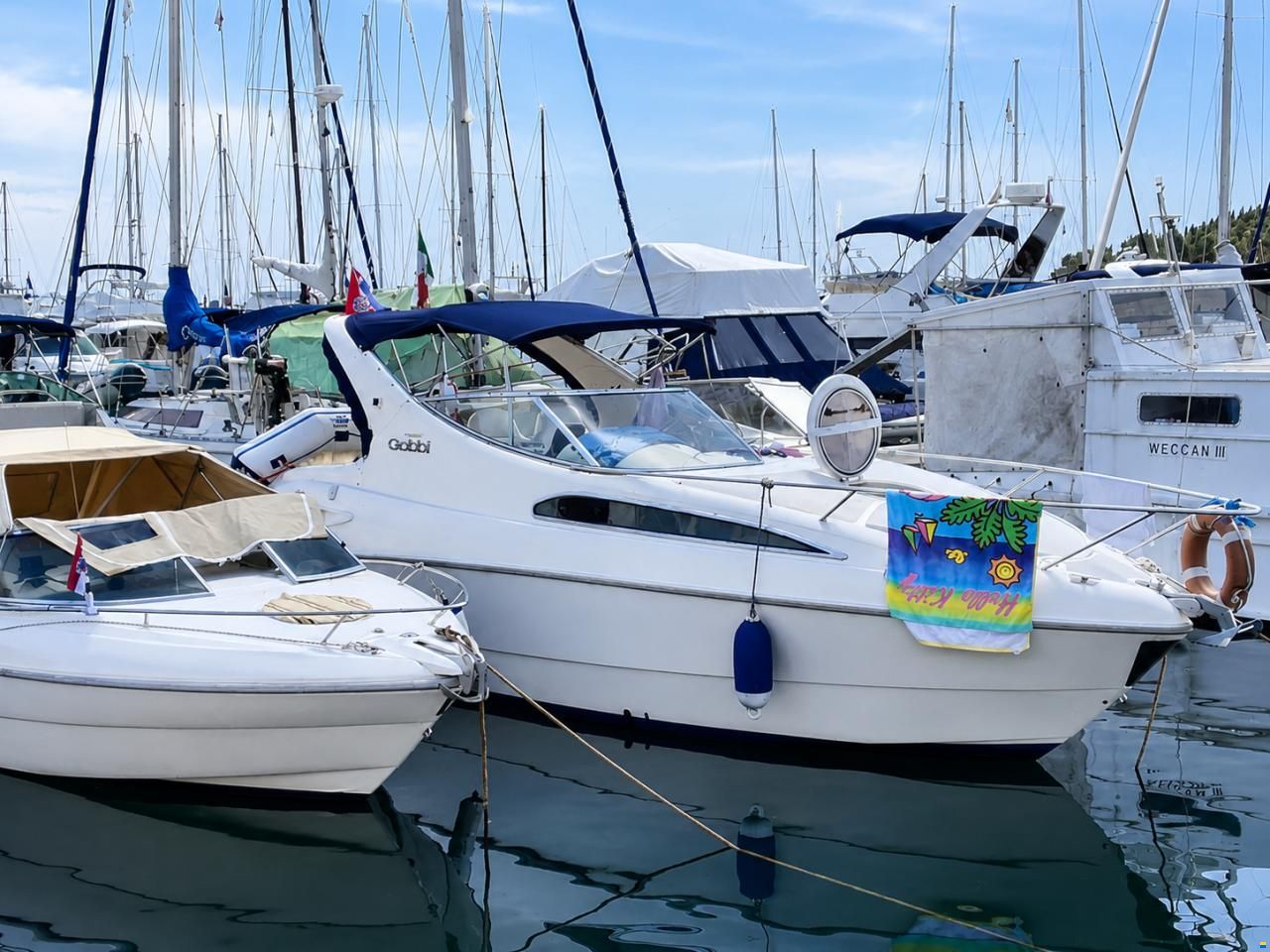 Gobbi 245 Cabin